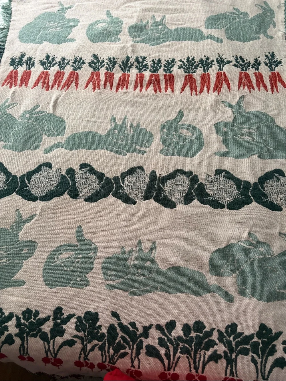 Rabbit & vegetable Cotton fringe edge Throw Blanket in Mint and Coral